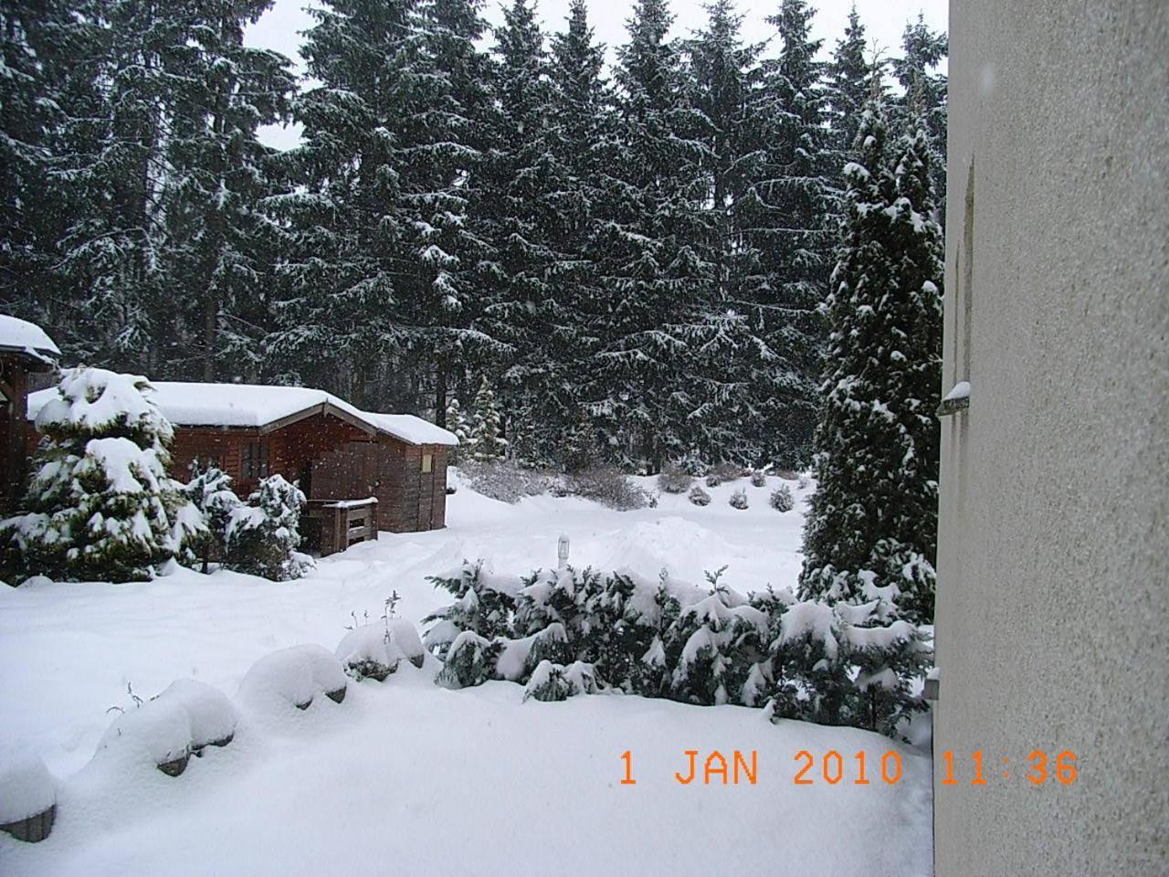Blechleppel - Die Pension Im Harz Benneckenstein Exterior foto